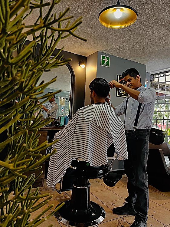 Barbero cortando el cabello a un cliente de espaldas, con el salón y una planta en primer plano
